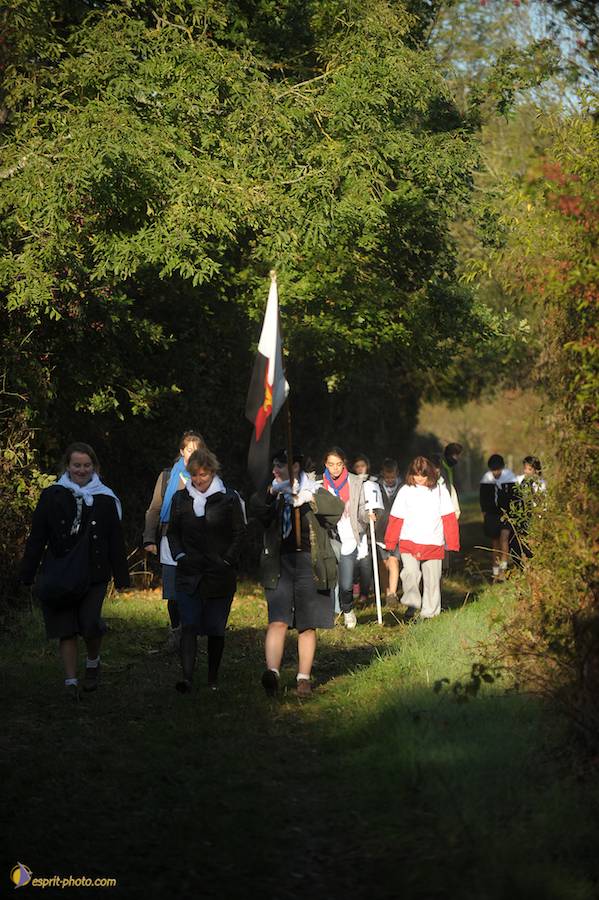 Nom de l'image : D30082975_1_(c)Norbert-JUNG — Description :